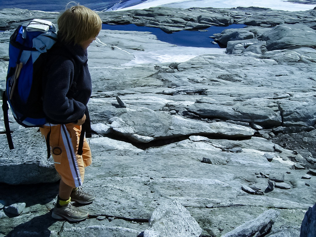 {8105DF71-6676-43E3-829E-014E697BC637}