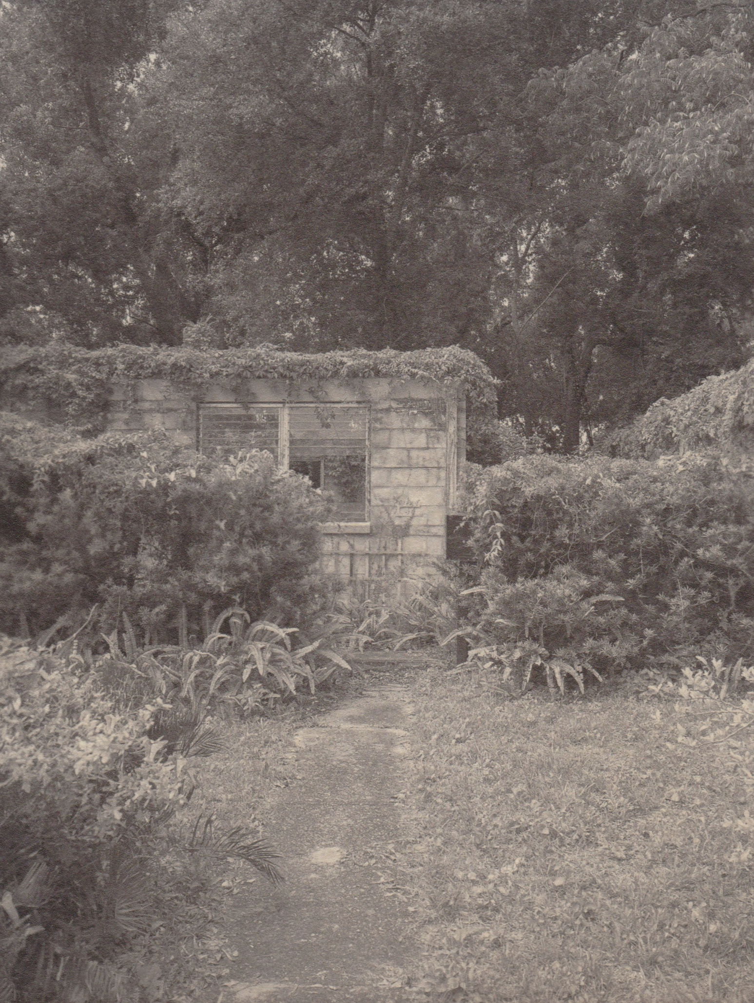 Ziatype, St. Augustine 2019.