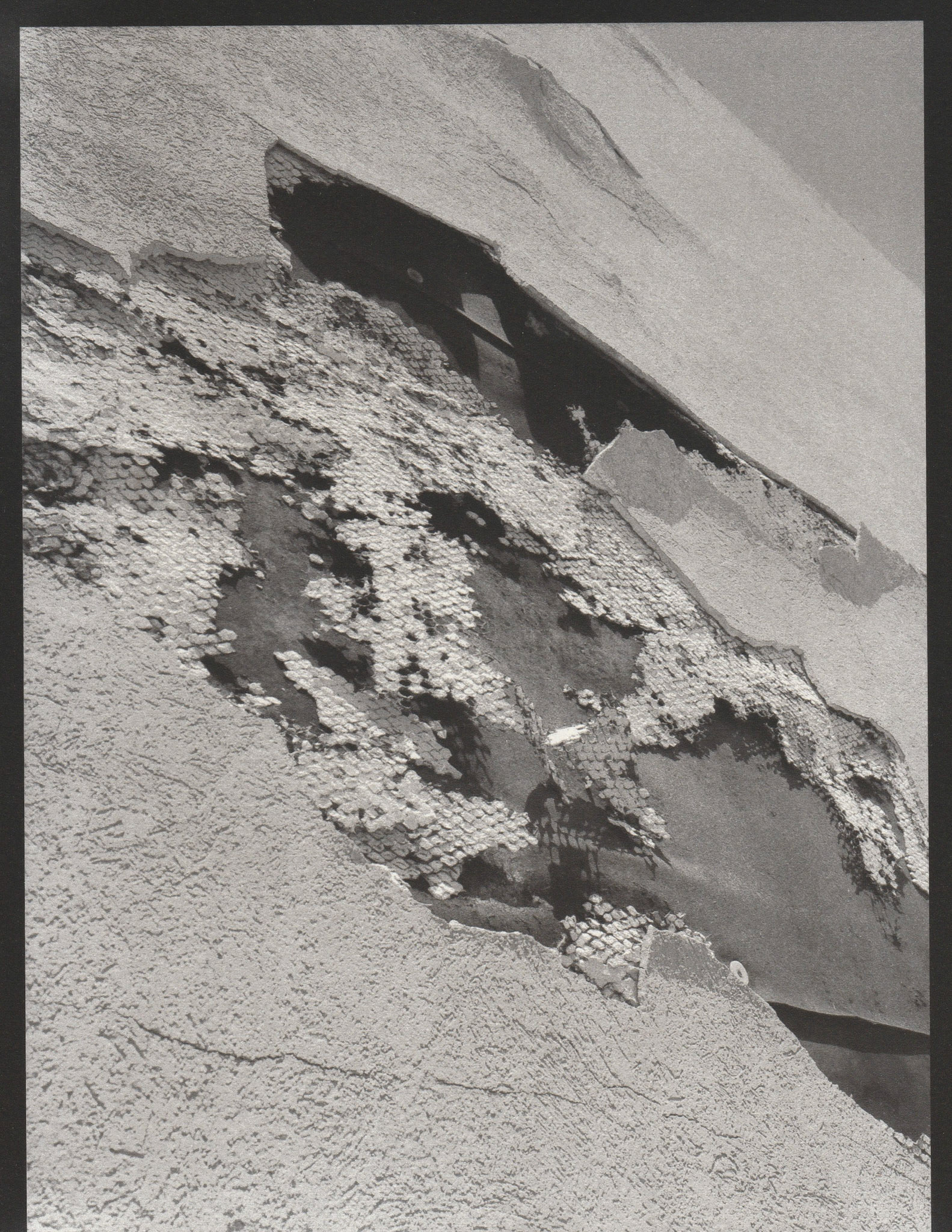 Ziatype, St. Augustine 2019.