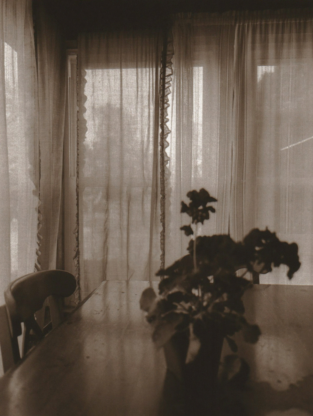 Carbon transfer print, Maine 2019.