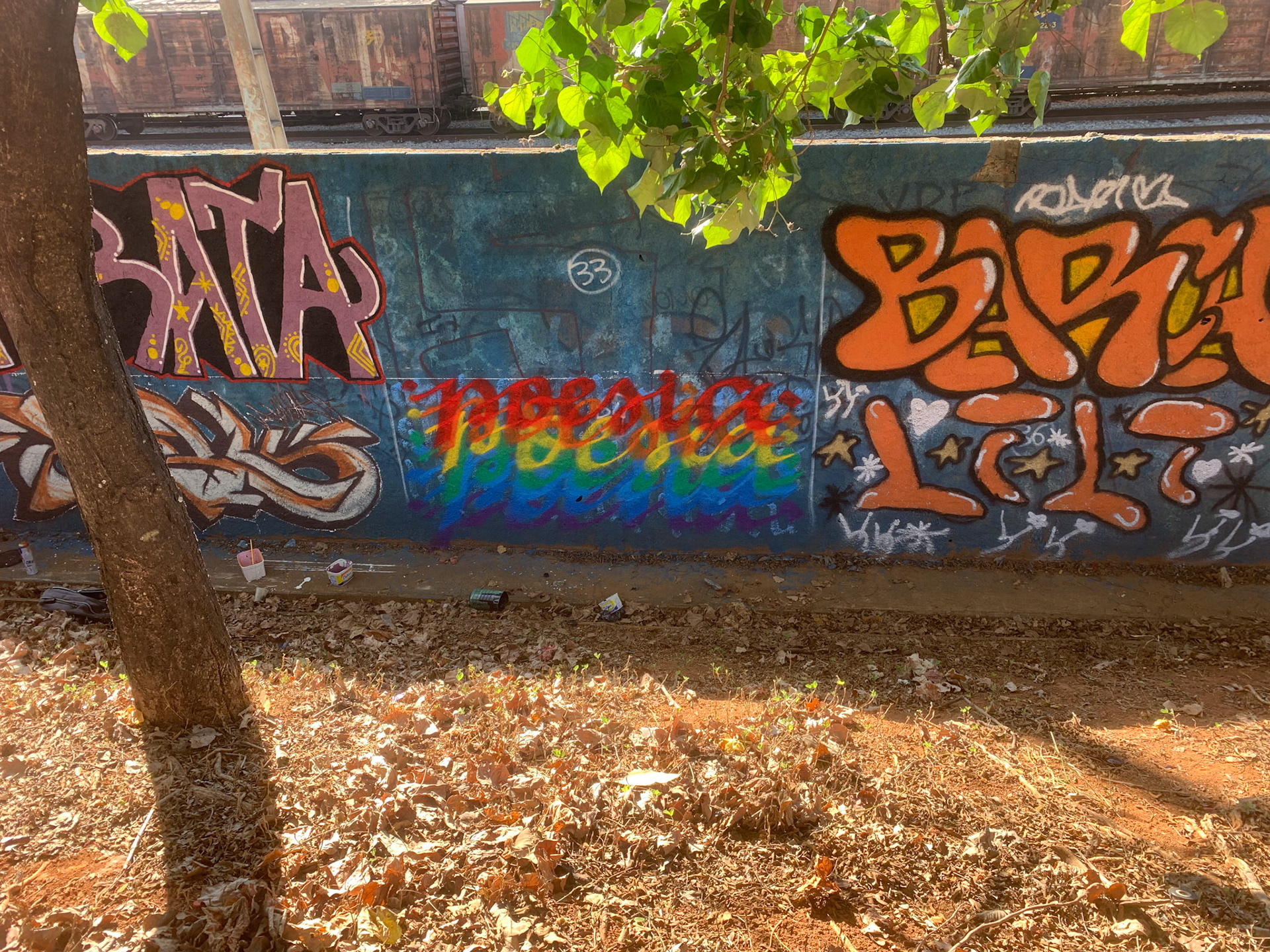 poesia arco-iris