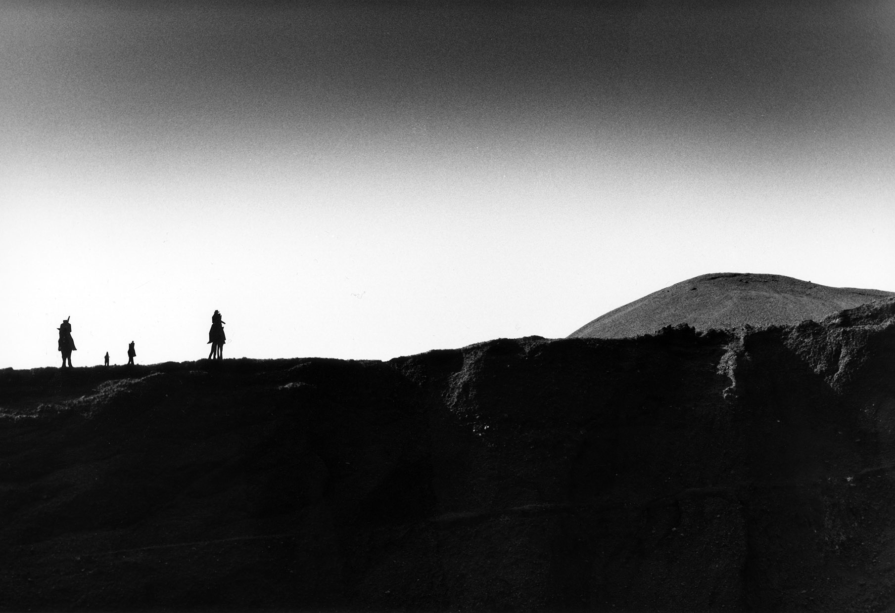 Blackrider, 2007, 20x30cm
