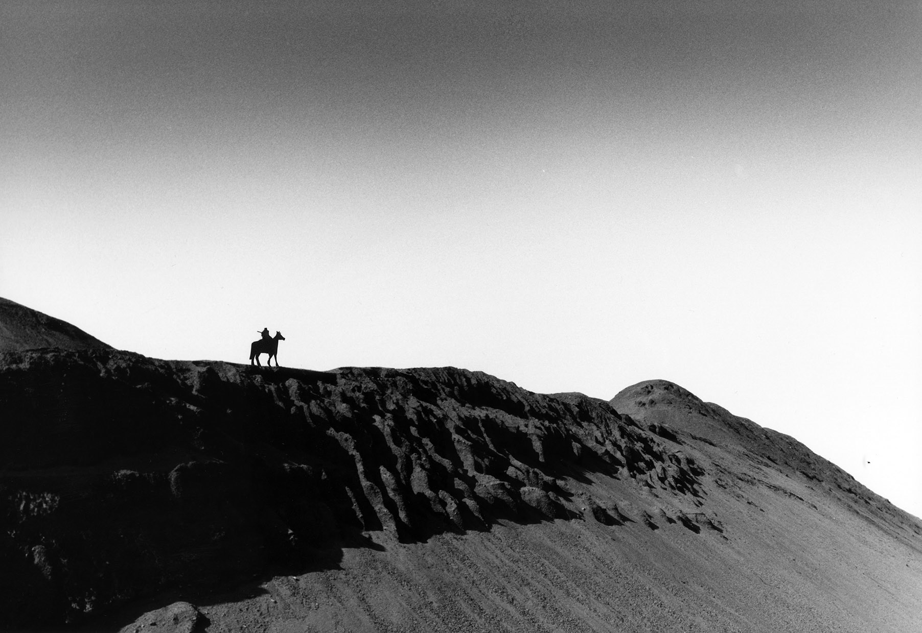 Blackrider, 2007, 20x30cm