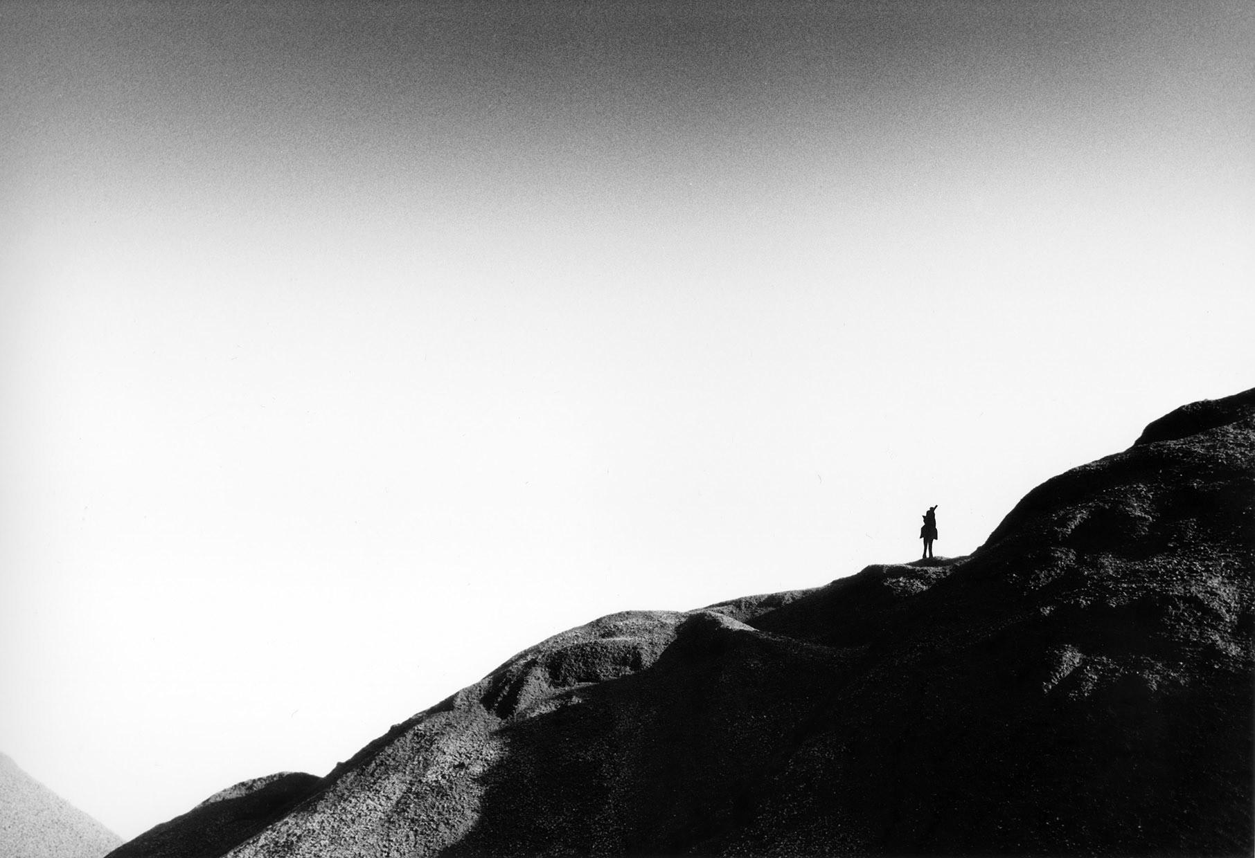 Blackrider, 2007 20x30cm