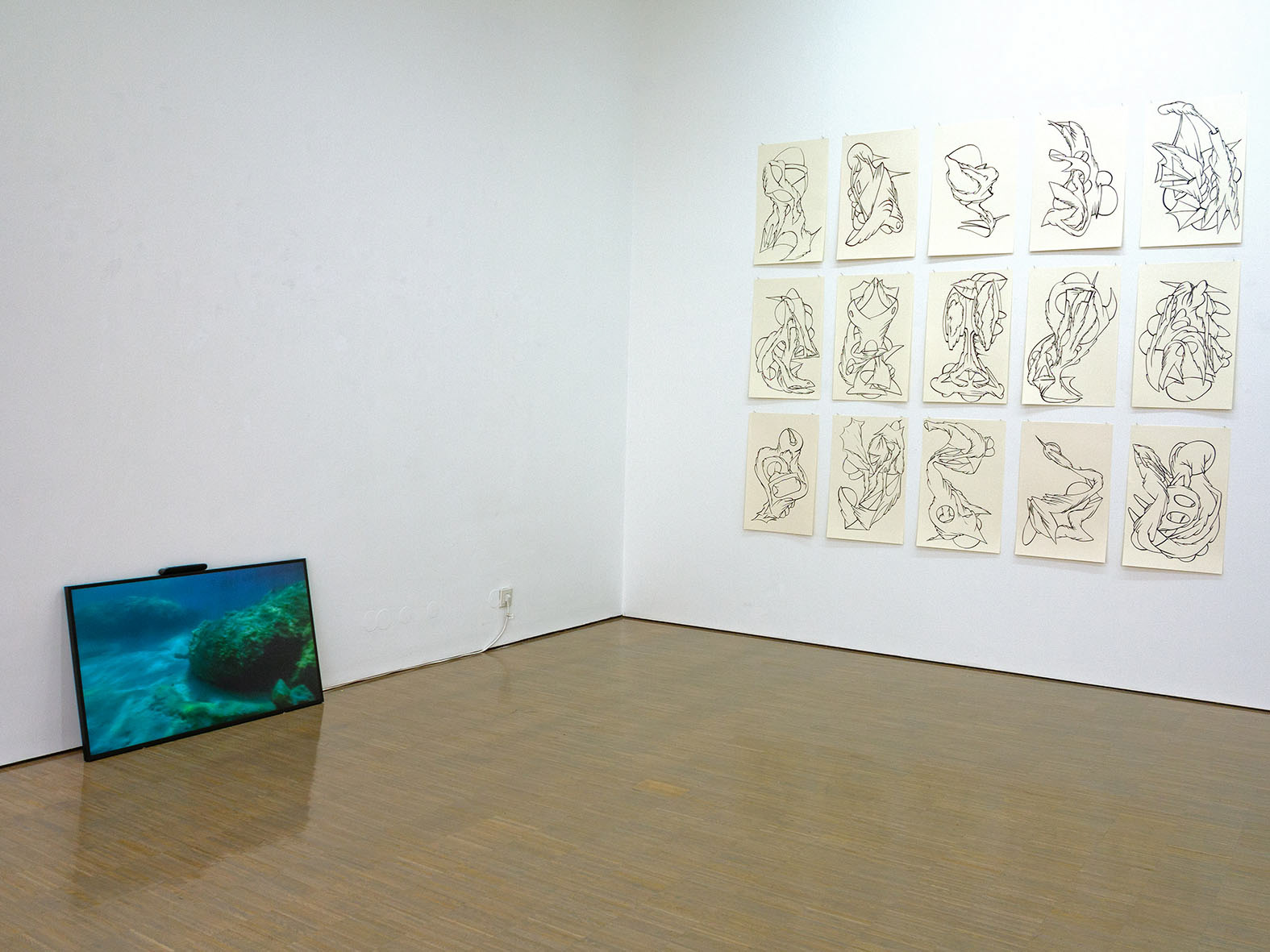 Exhibit view