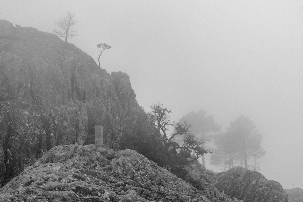  Le tableau (Corsica, 2013)