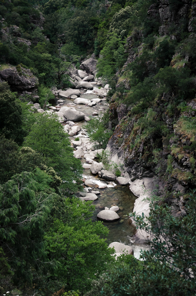  La plaie (Corsica, 2013)