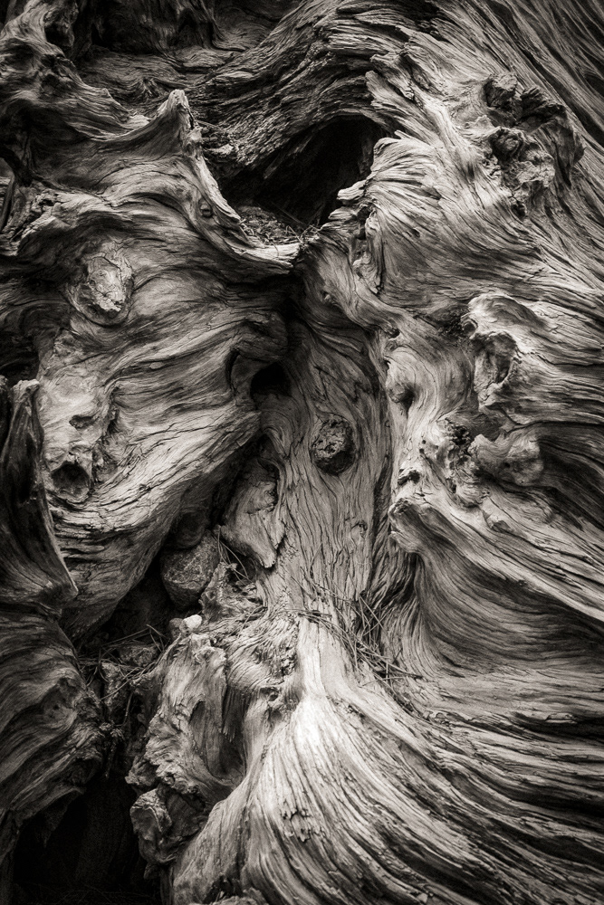  Les tourments (Corsica, 2013)