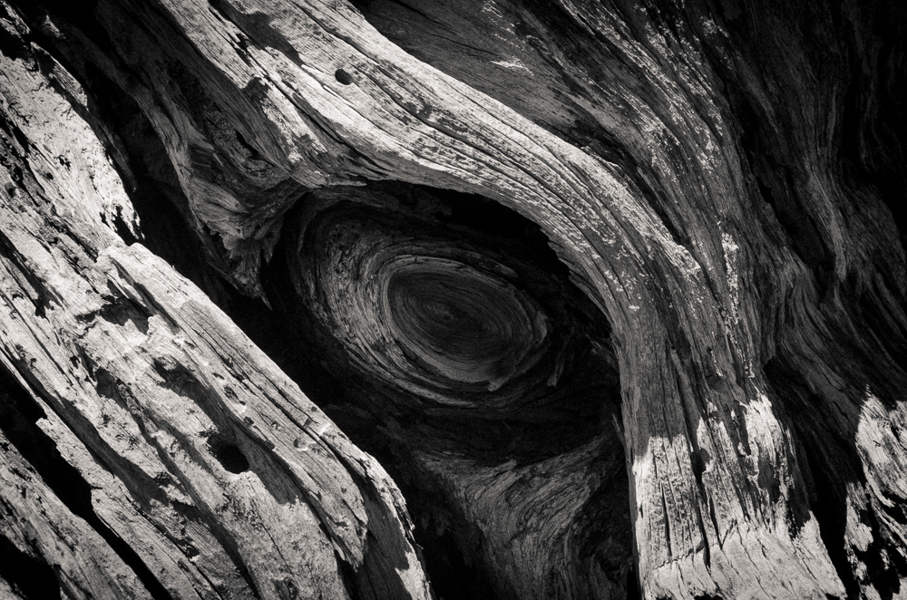  L'oeil (Corsica, 2013)