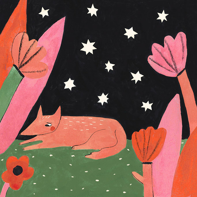Day 7 SKY: The little wolf felt hopeless after spending the whole day in search of the moon. As the stars lit up the sky he curled up to go to sleep until he heard something from behind… “Pssst!”