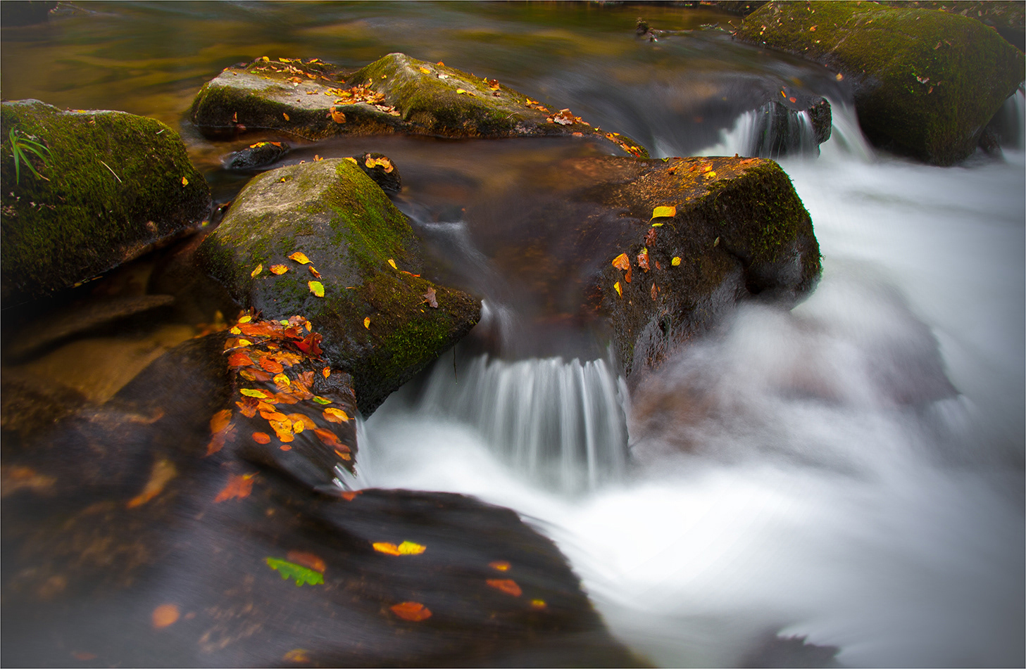 Image From Golitha Falls