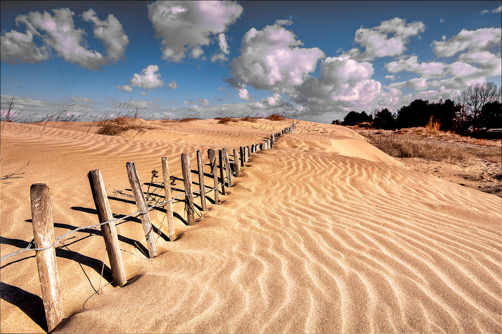Shifting Sands