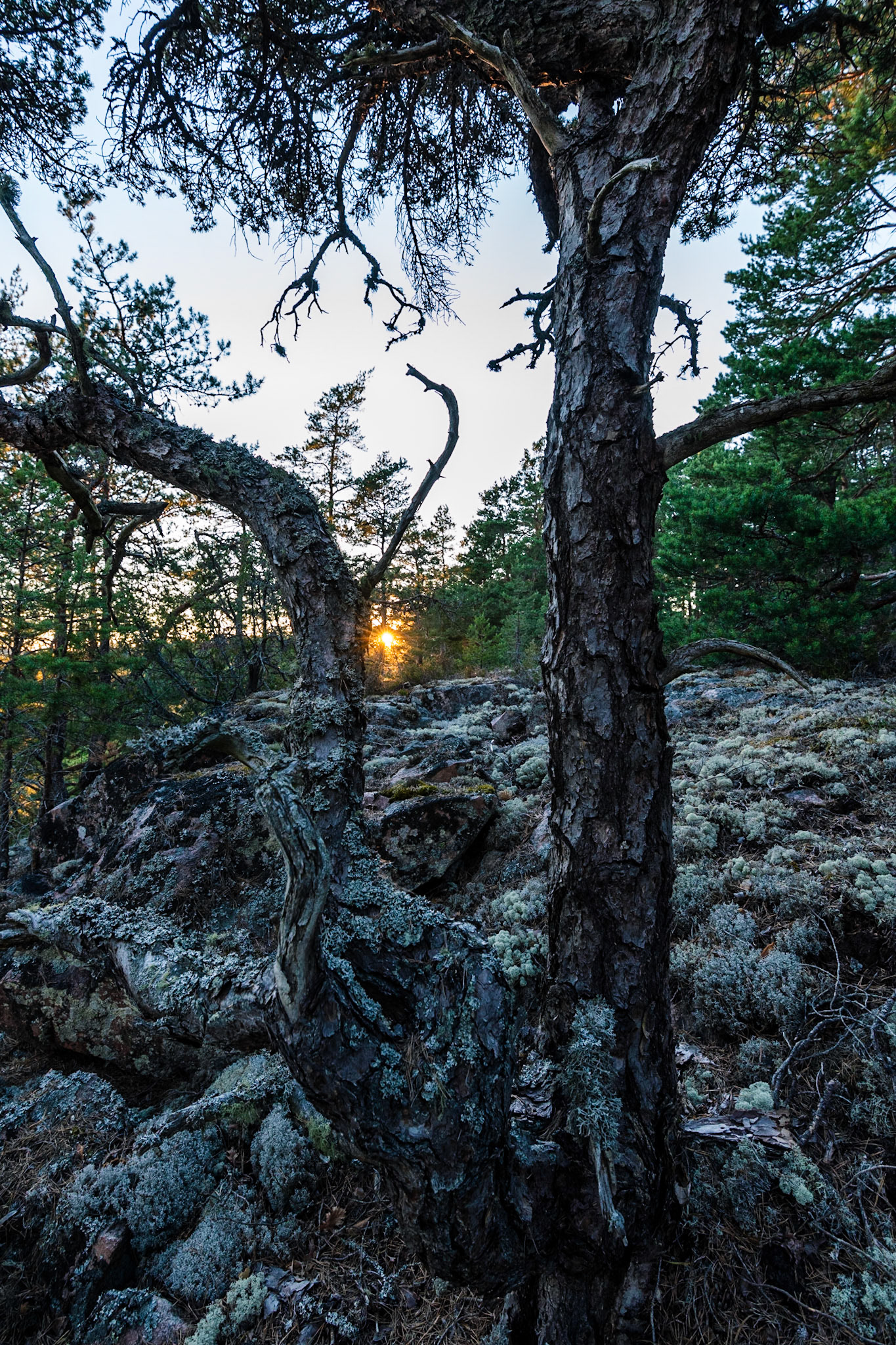 Setting sun