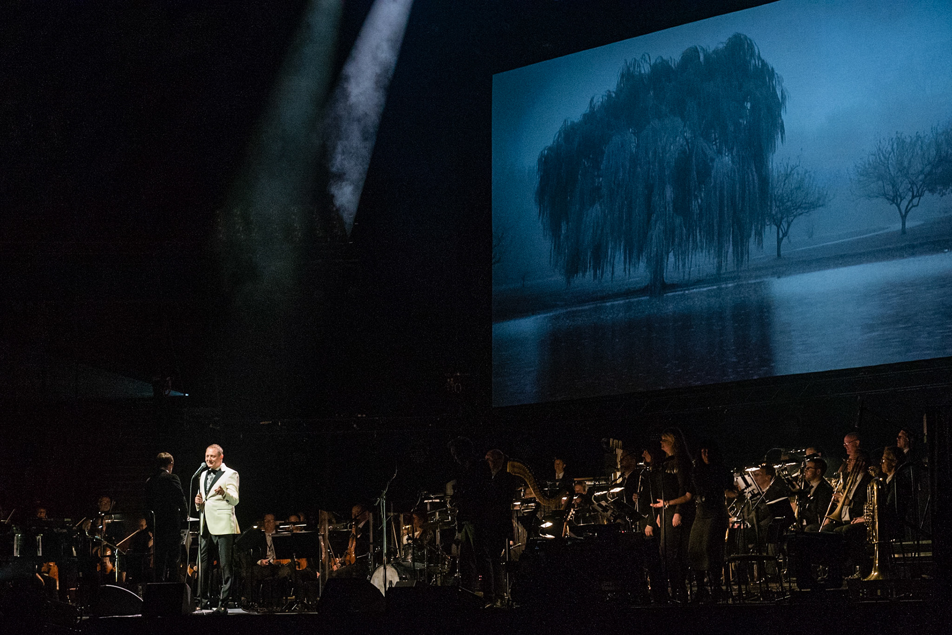 Weeping Willows, Globen, 31 Mar 2017