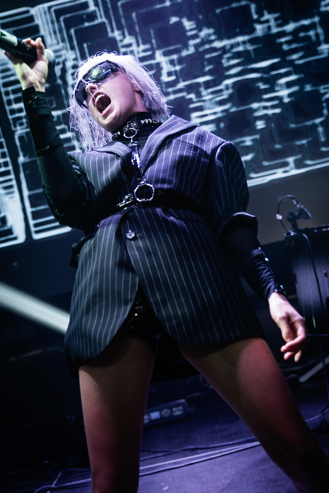 Rein, Slaktkyrkan, 19 Aug 2019