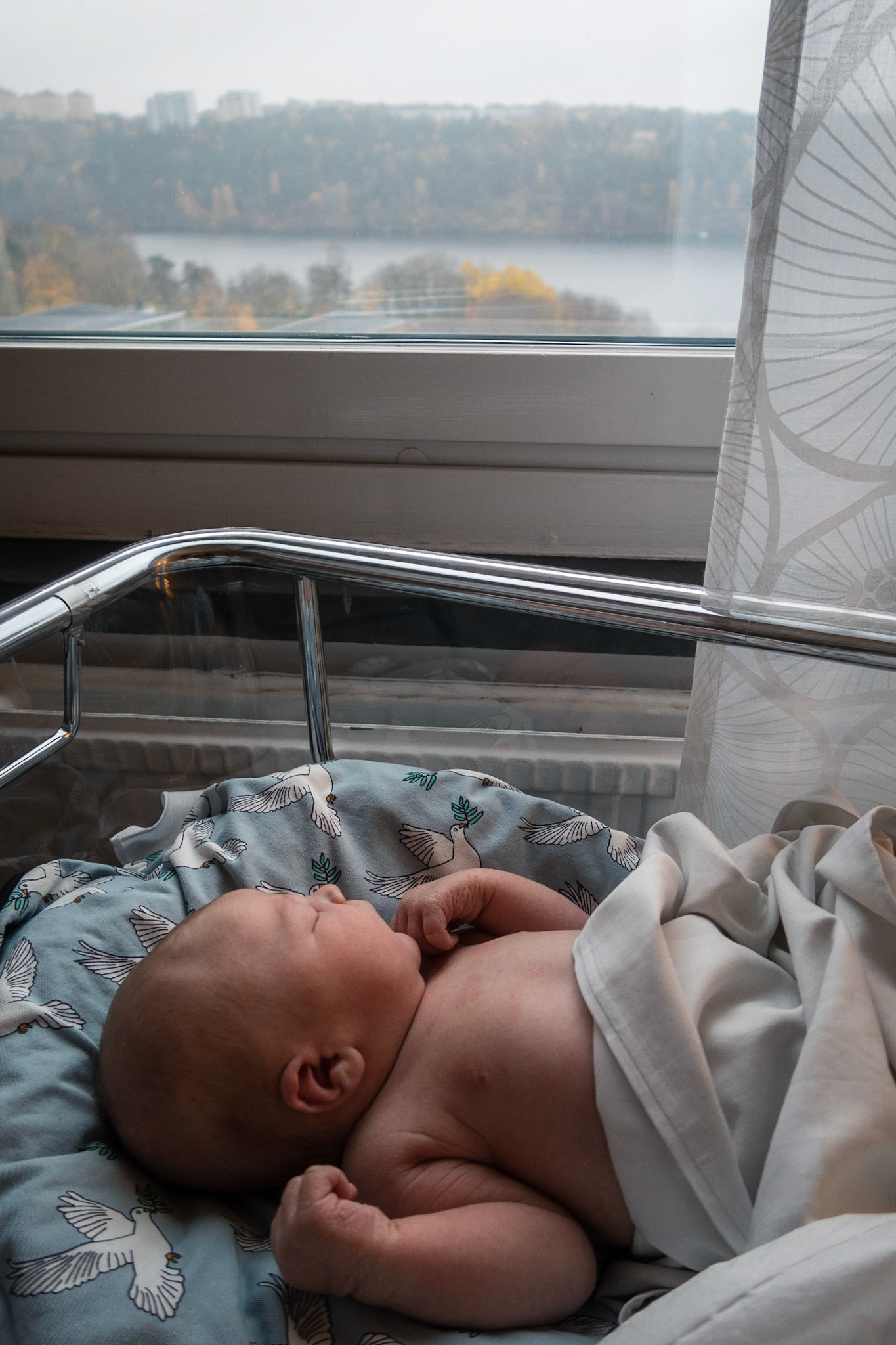 Waking up to a new world