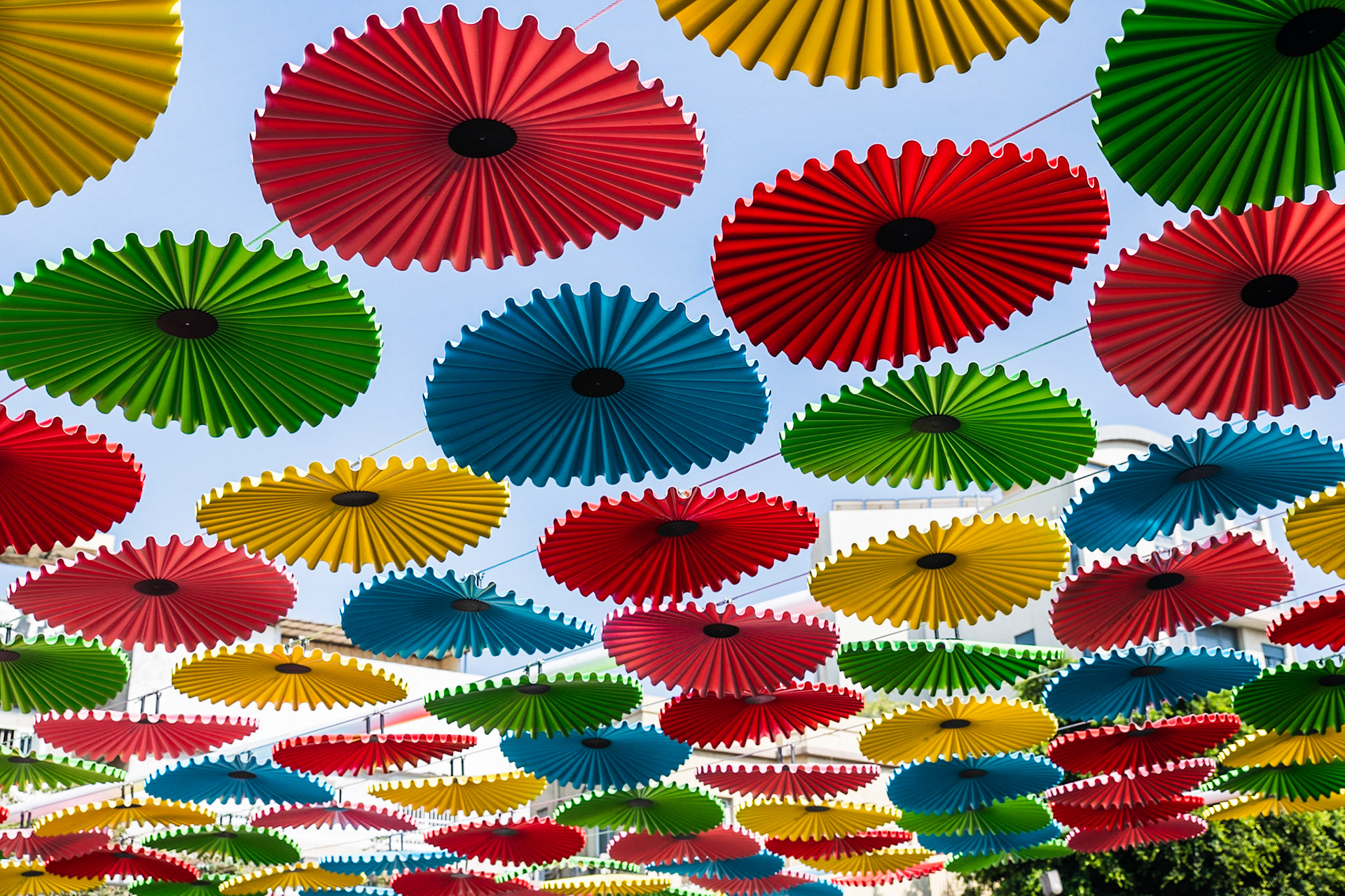 Colorful shades