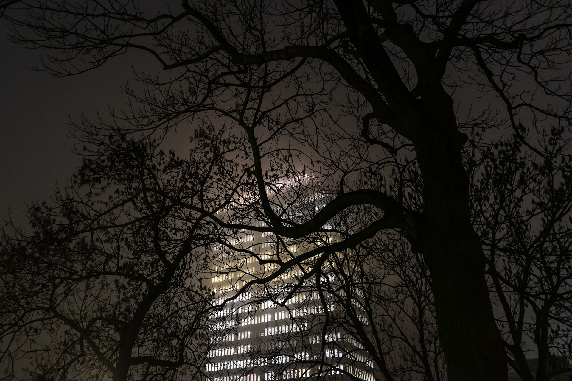 Foggy night in the city