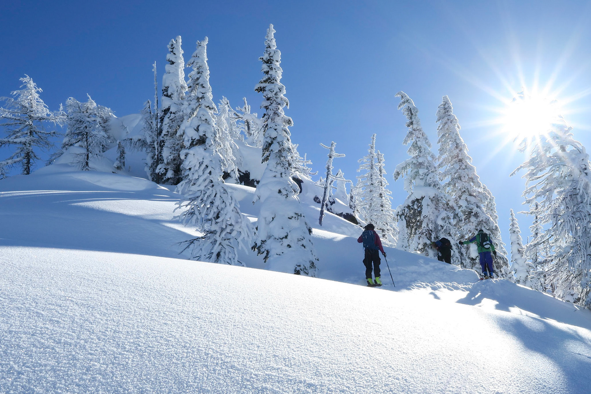 Hiking up to the peaks from Whitewater ski resort