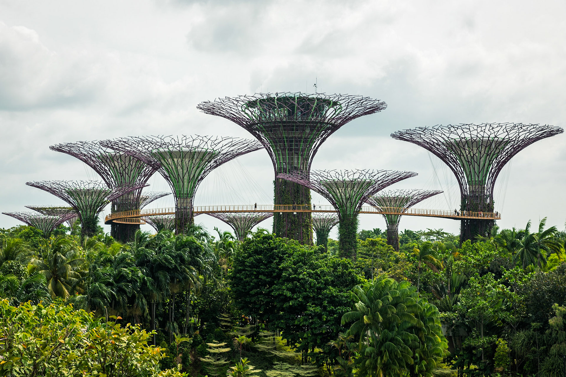 Supertrees in Singapore