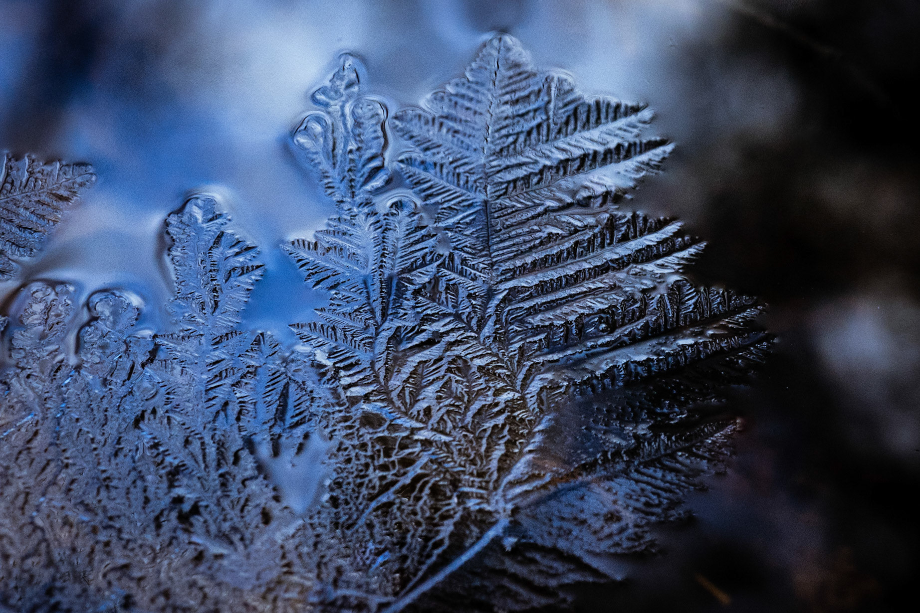 Ice forming