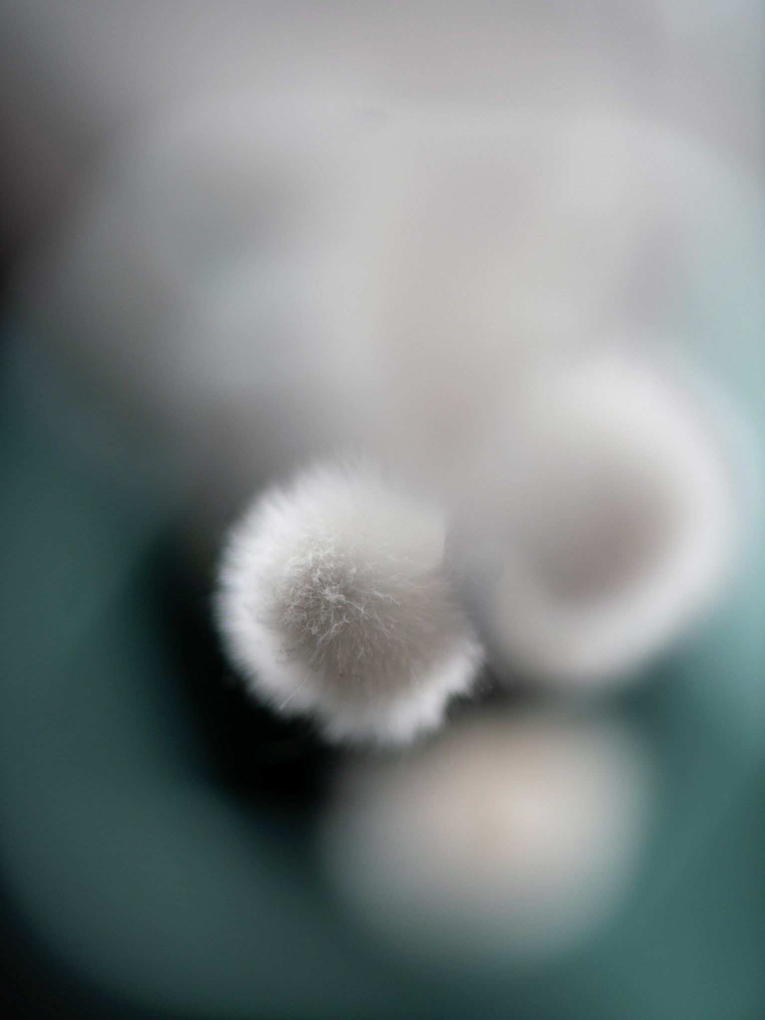 Soft and fluffy