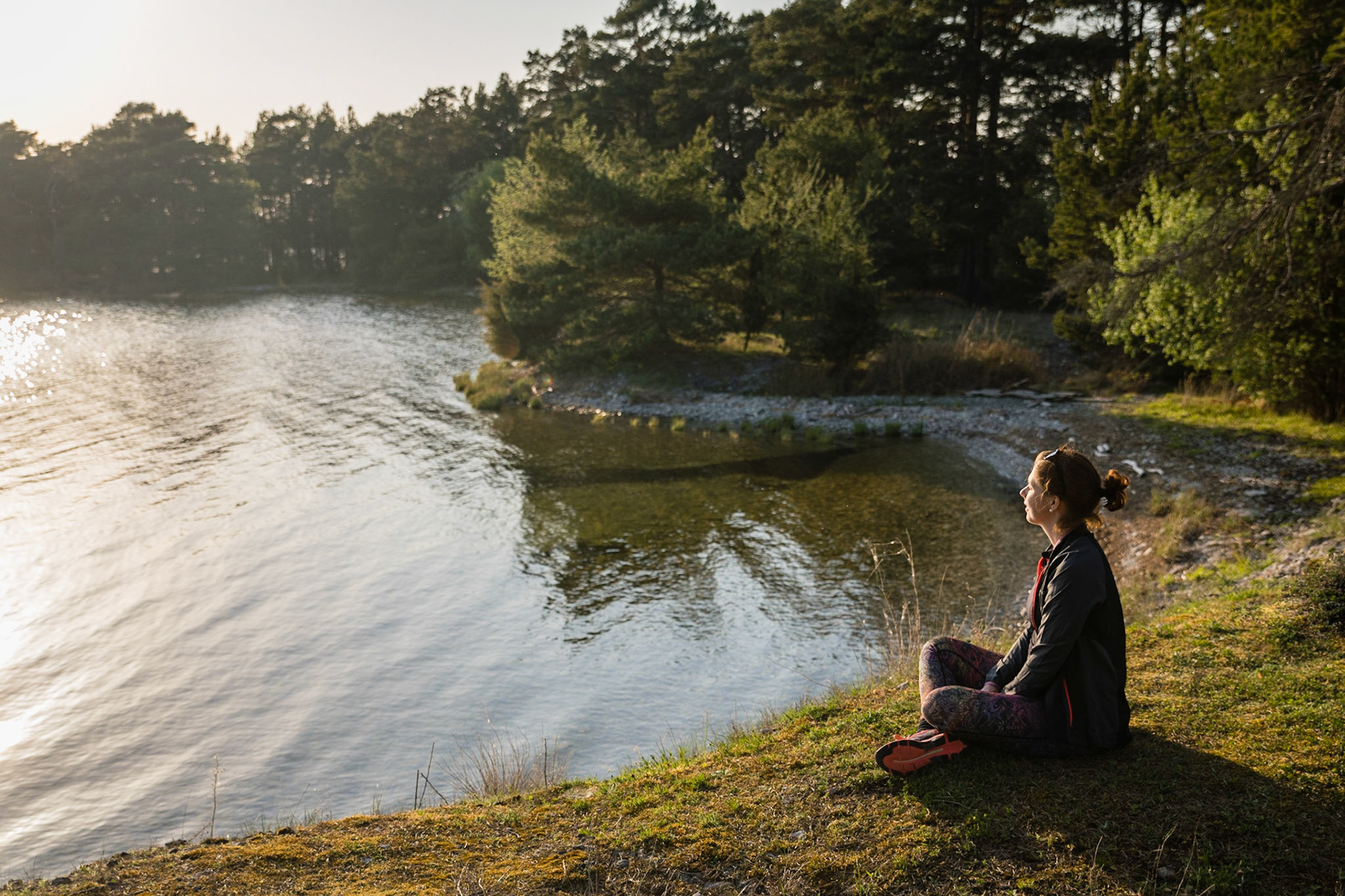 Finding calm in forests of Gotland