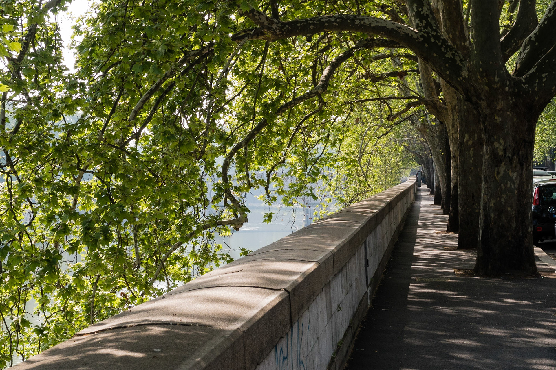 Along the Tiber - Rome