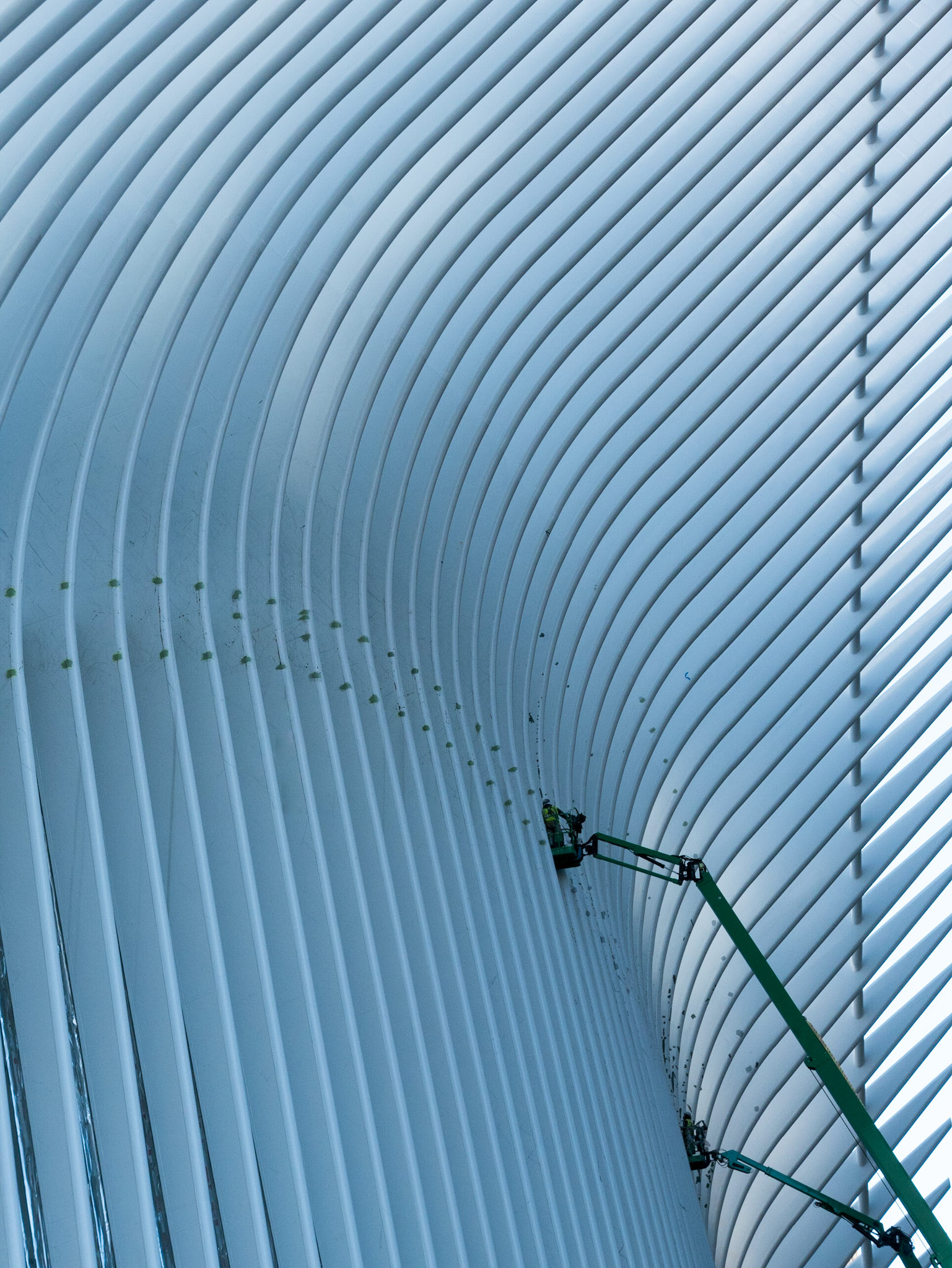 Oculus rising