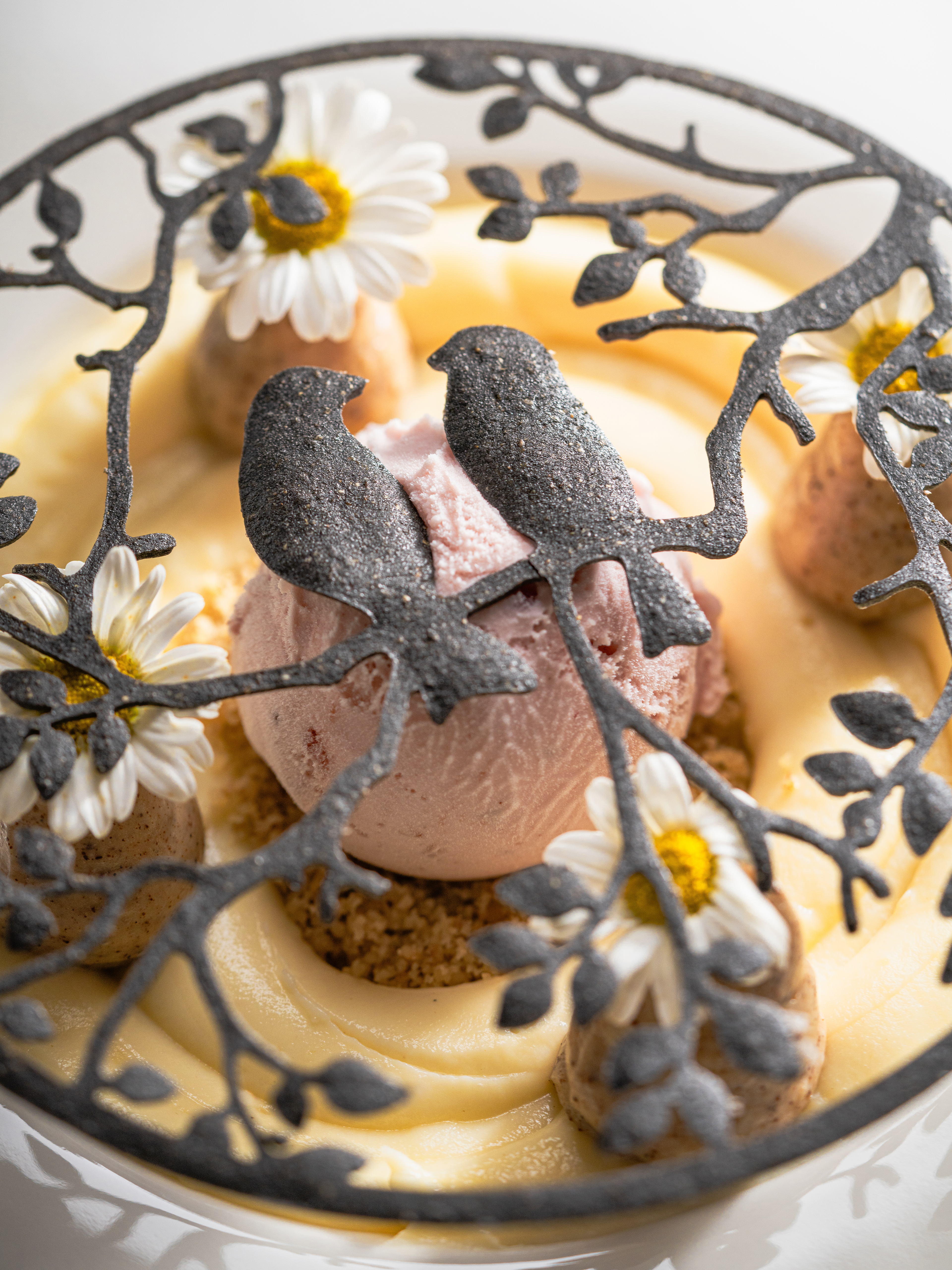 Maide - Pre Openning Shoot (Photography by Me & Abdulhadi Naji)