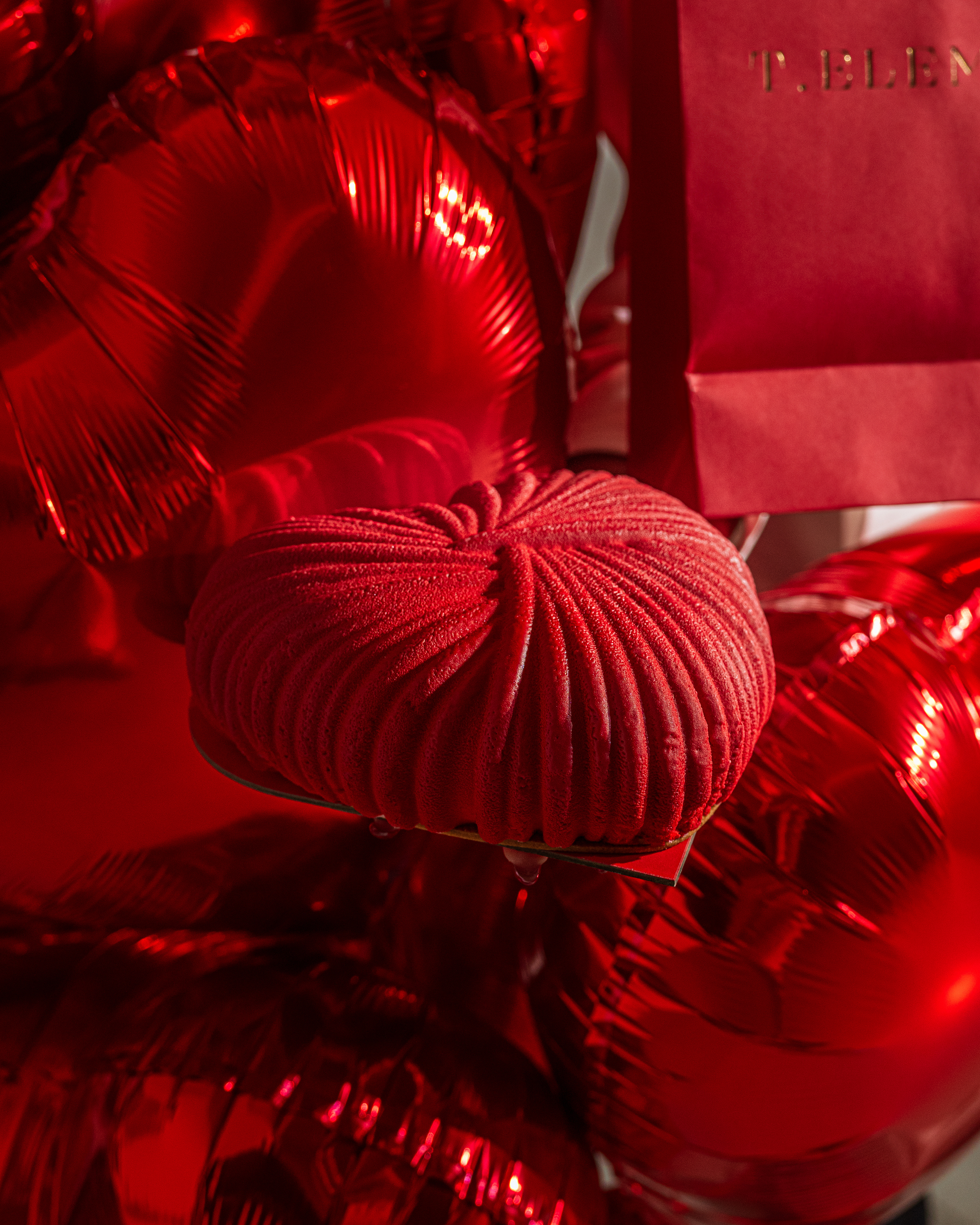 T Elements by Turkan - Valentine 2024 (Photography and Styling)