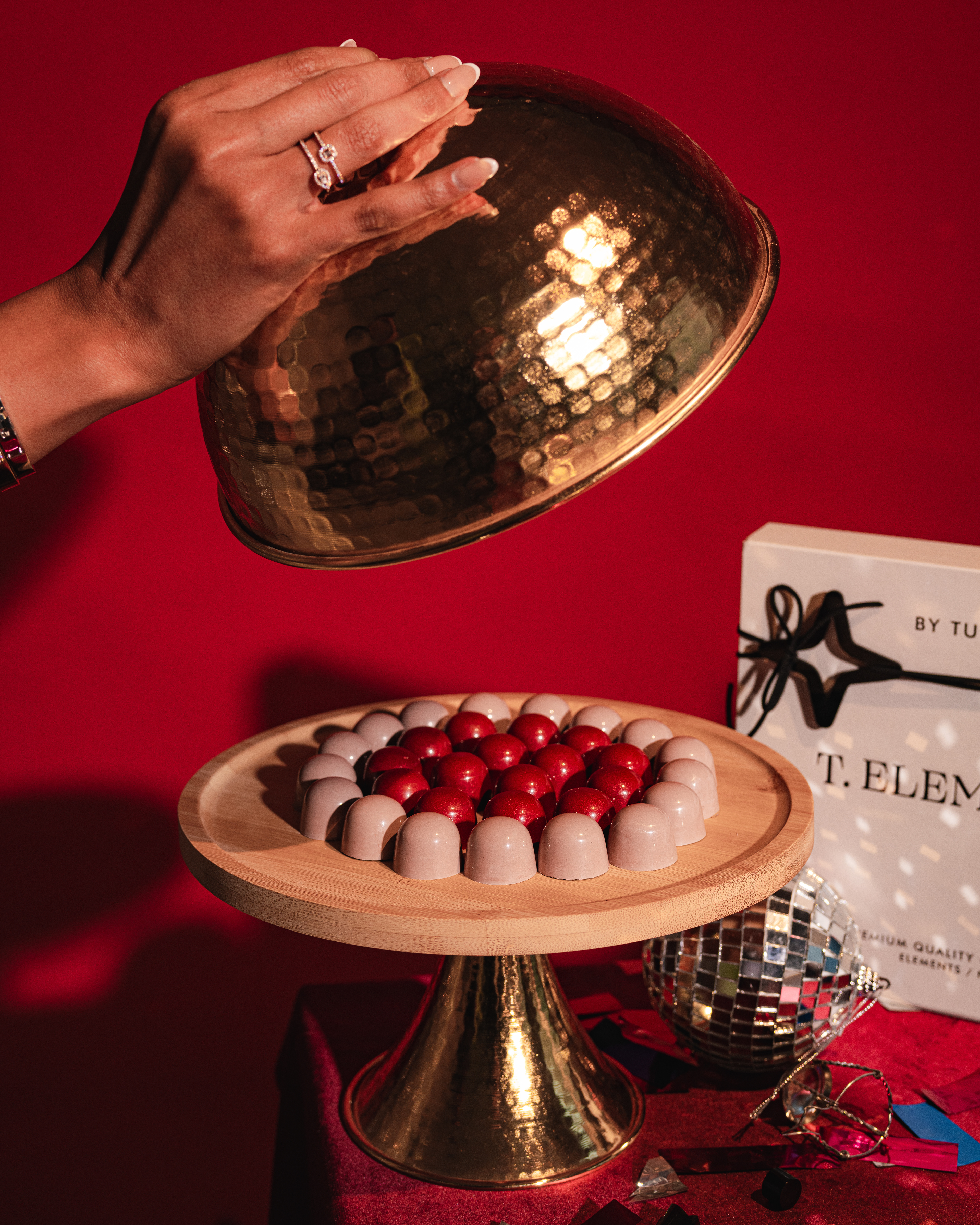 T Elements by Turkan - New Year 2024 (Photography and Styling)