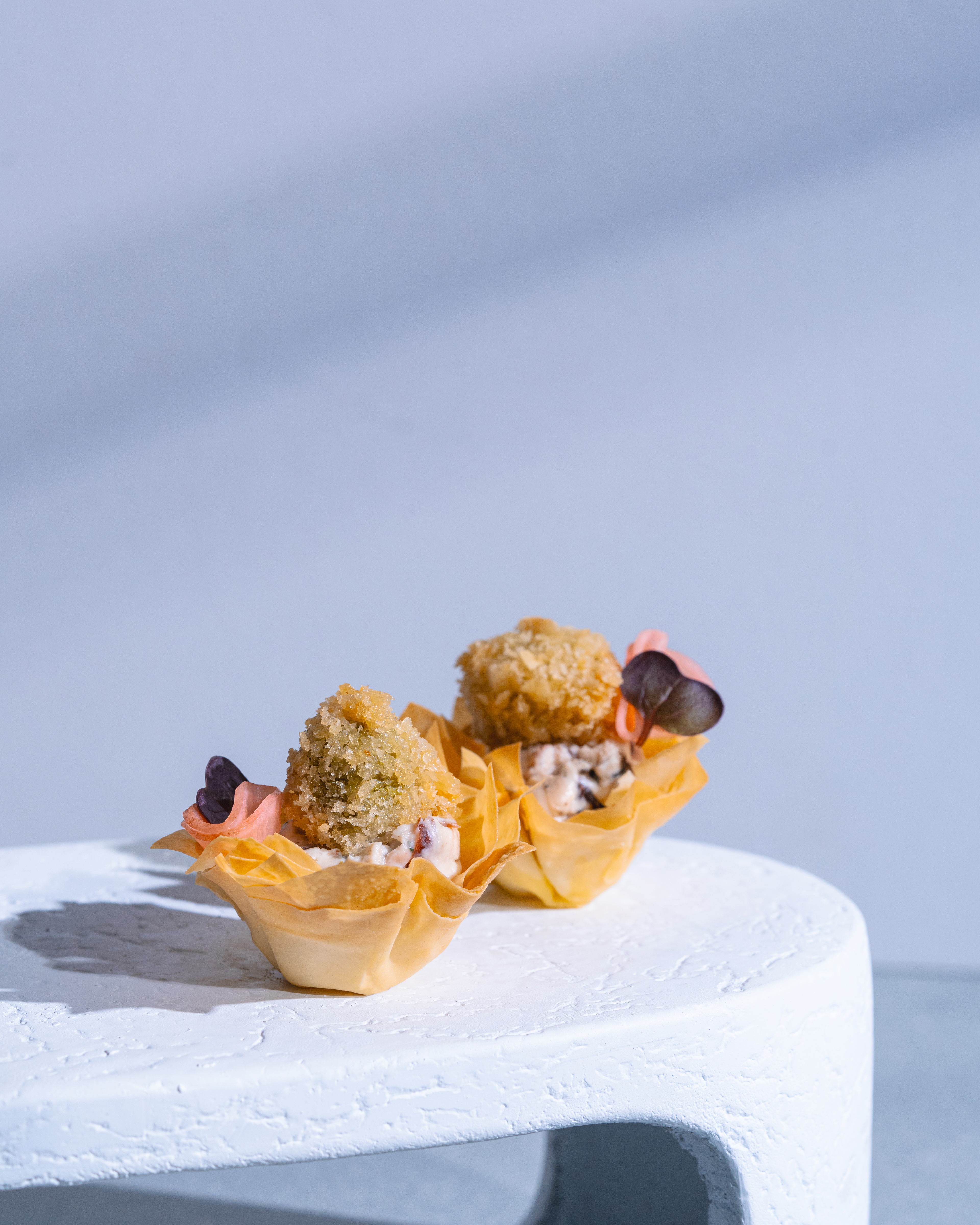 T Elements by Turkan - Savory Canapés (Photography)