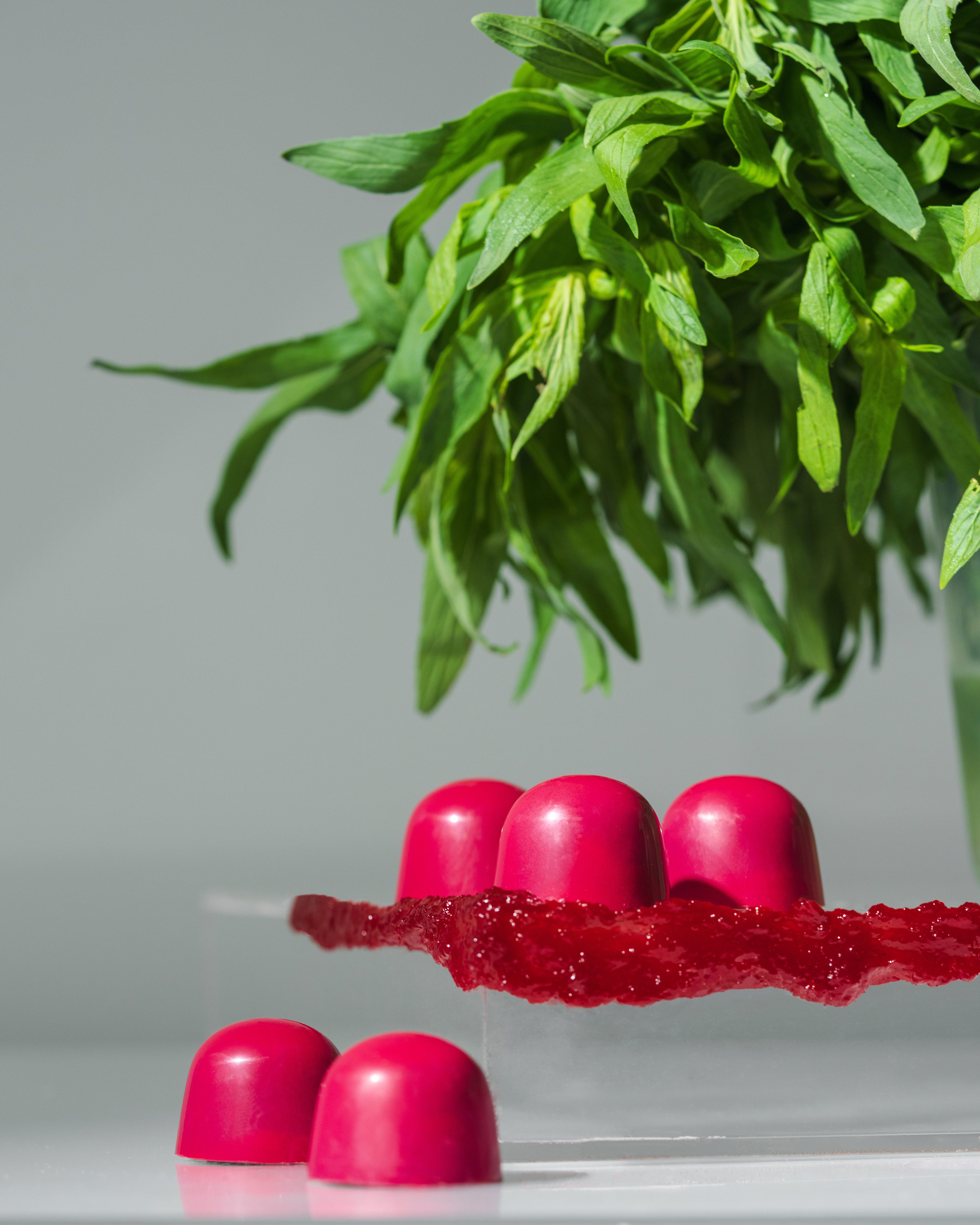 T Elements by Turkan - Summer Collection Chocolates 2023 (Photography and Styling)