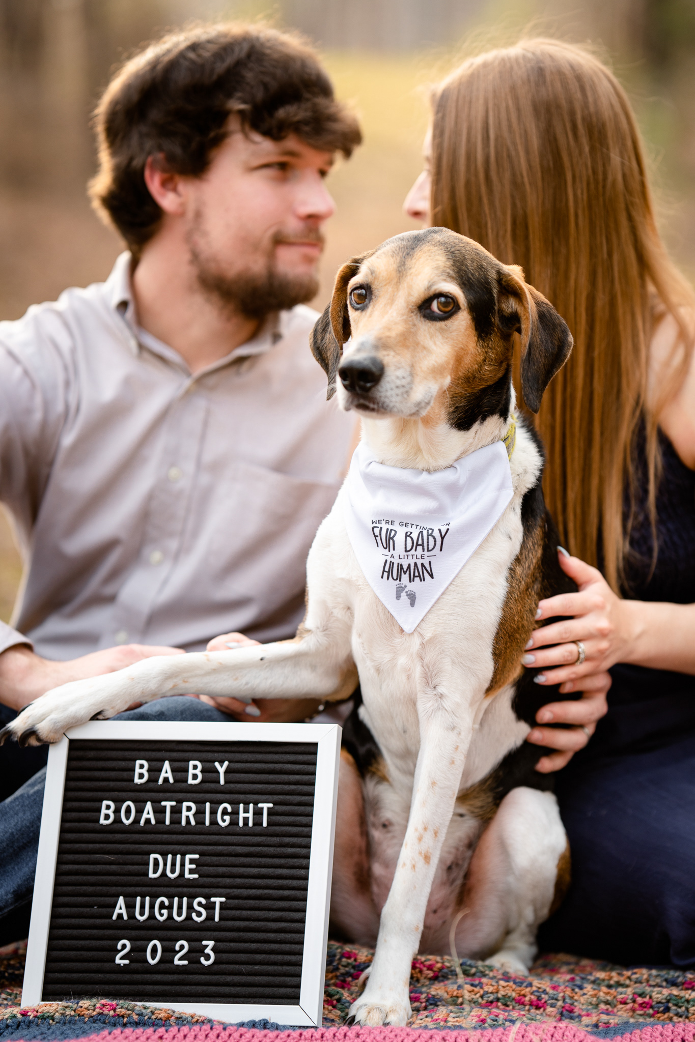 Dog announces human baby