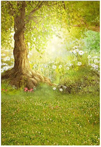 Woodland Meadow