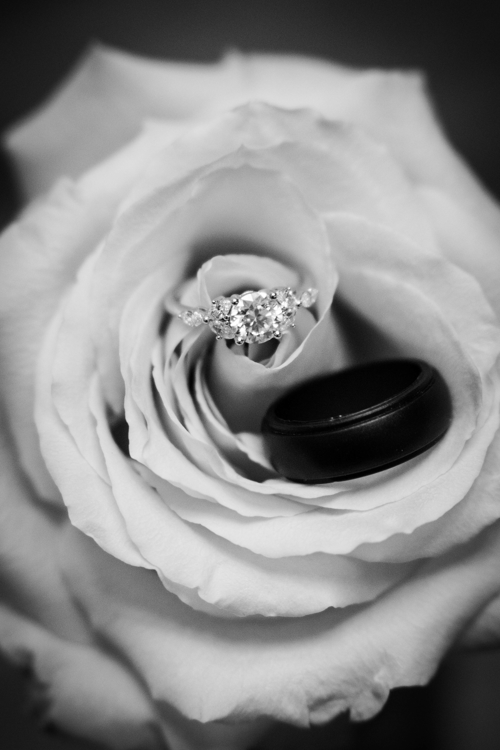 Black and white ring shot