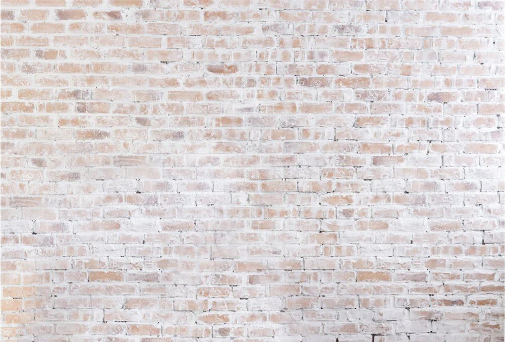 7'x5' White Washed Brick