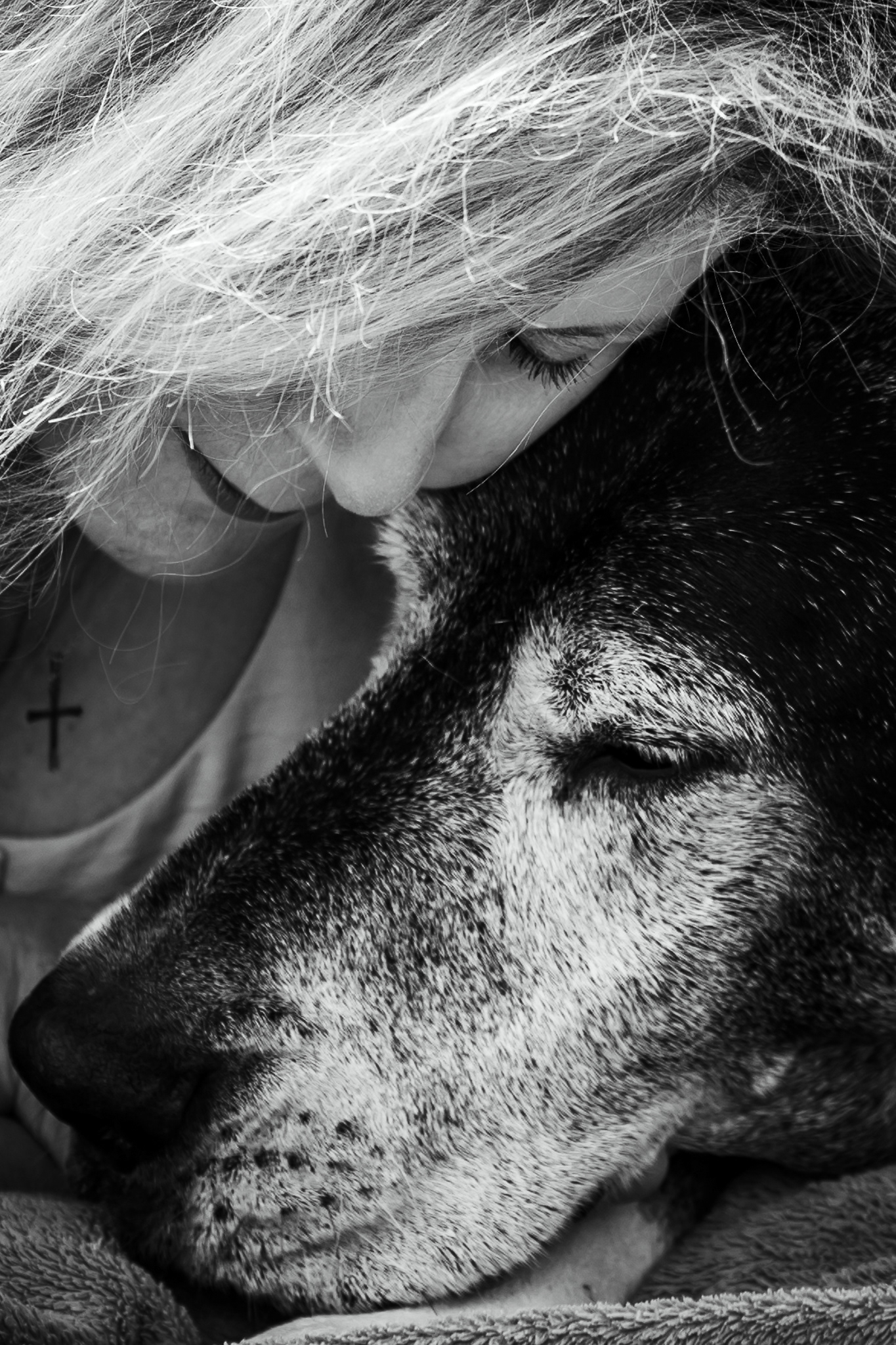 Fur mama snuggles with her elderly Great Dane