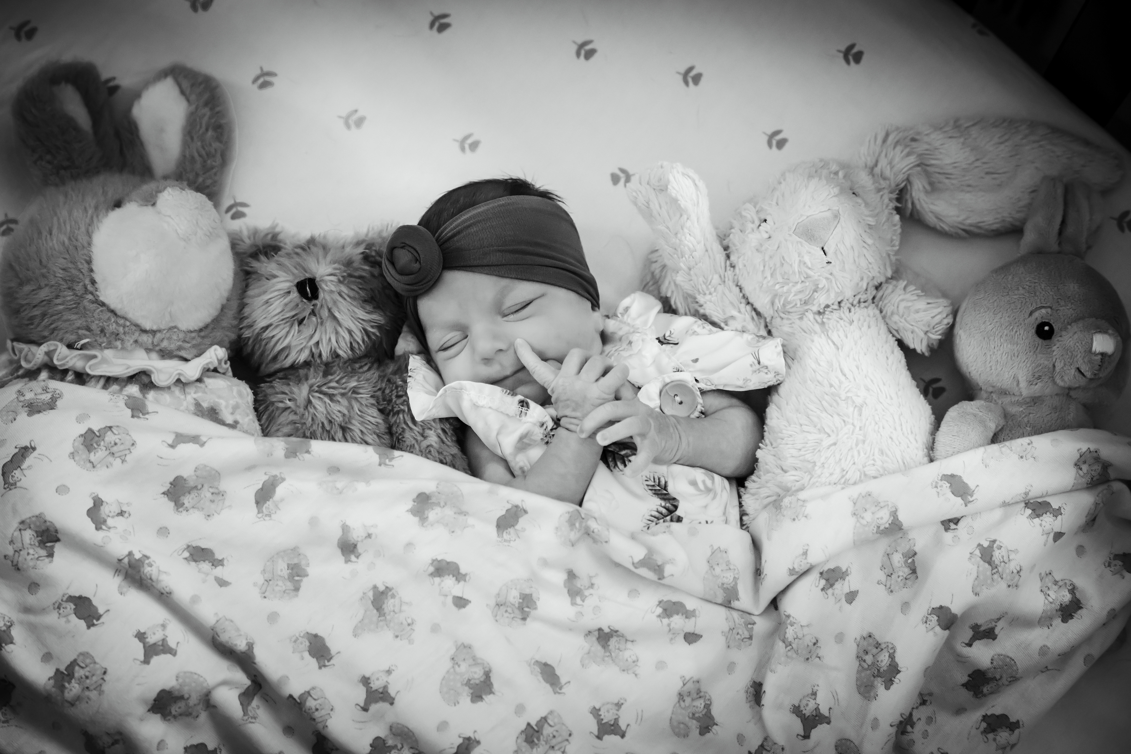 Newborn with her stuffed animals in crib