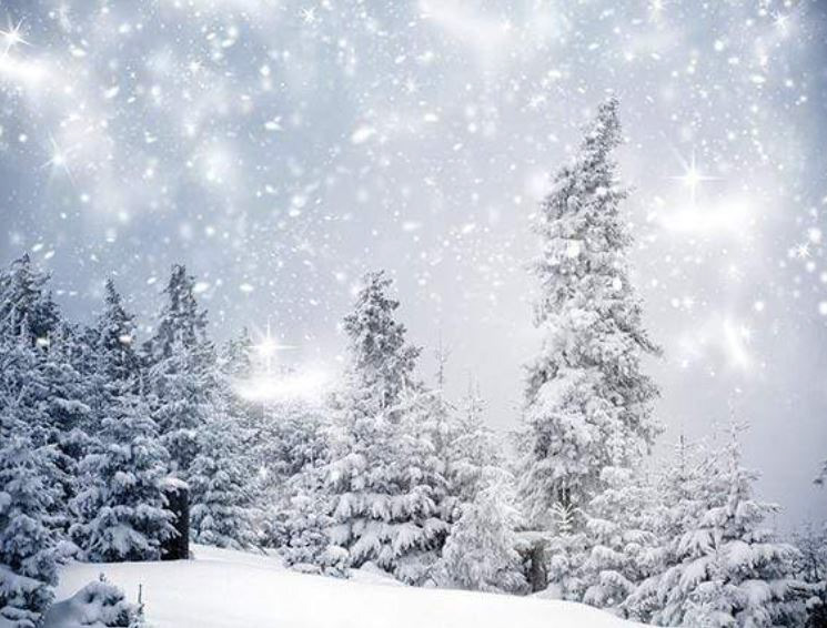 10x10ft Winter Wonderland