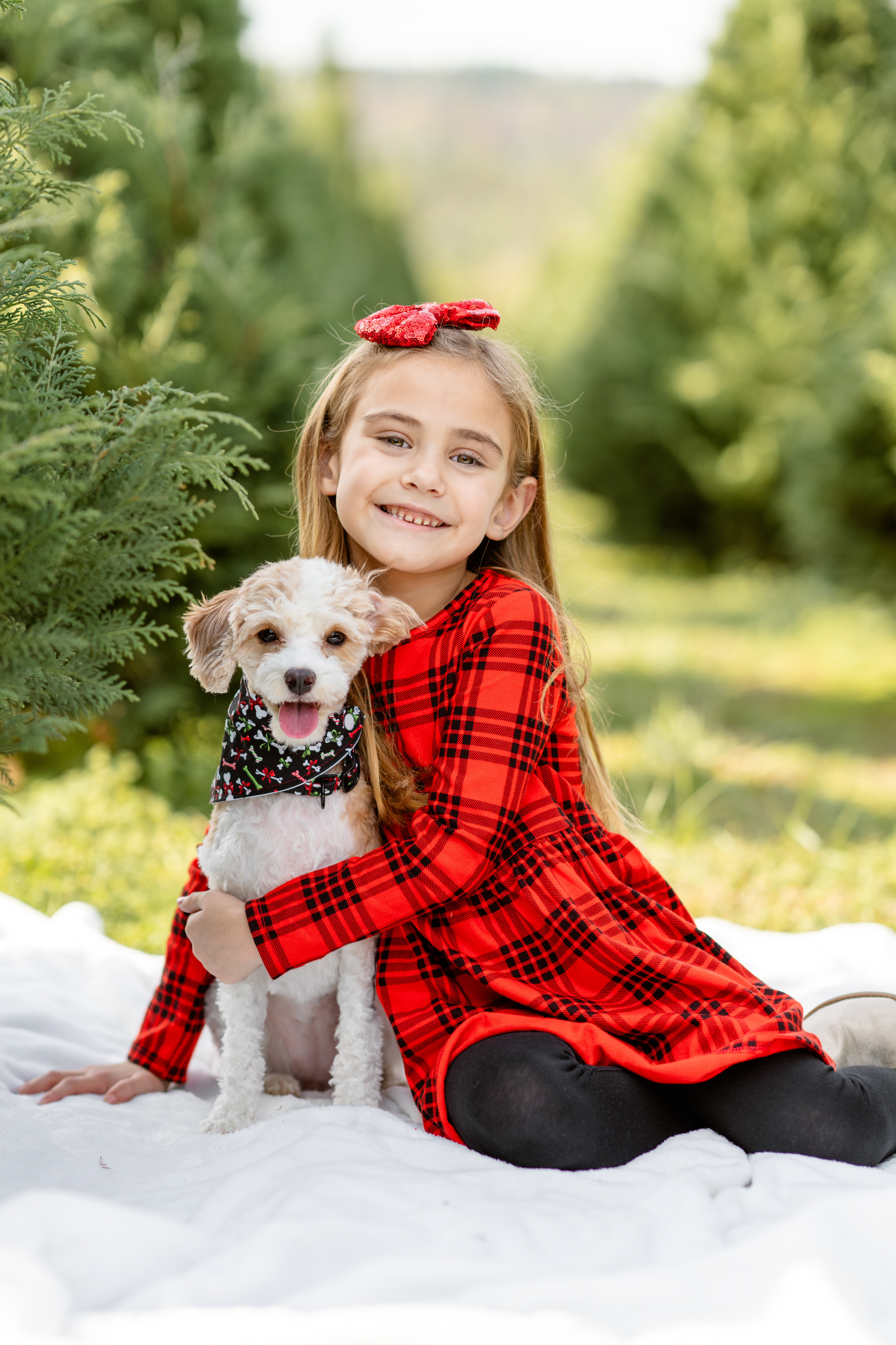 Child with her dog at the Christmas tree farm