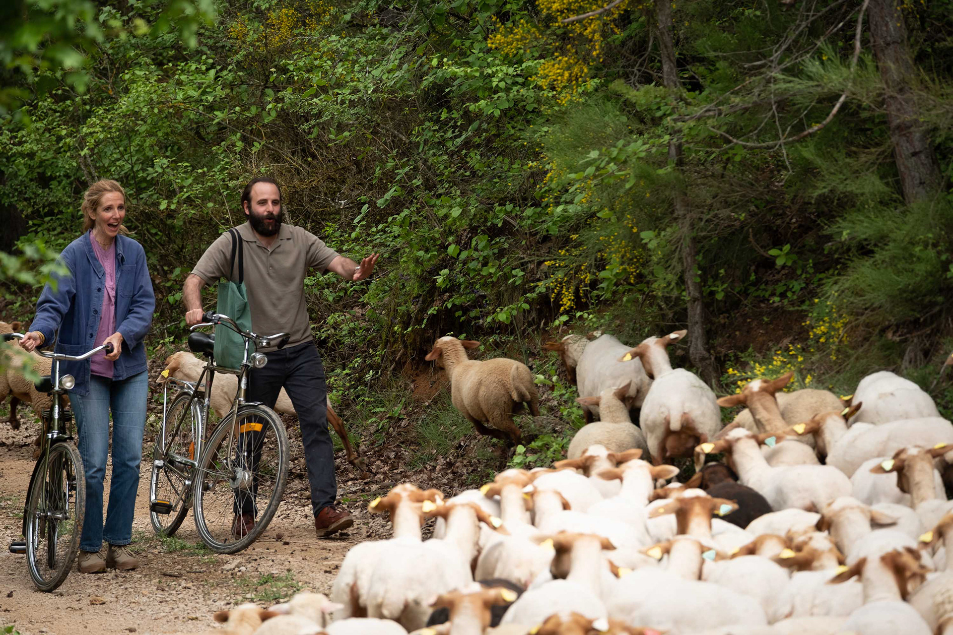 Chronique d'une liaison passagère