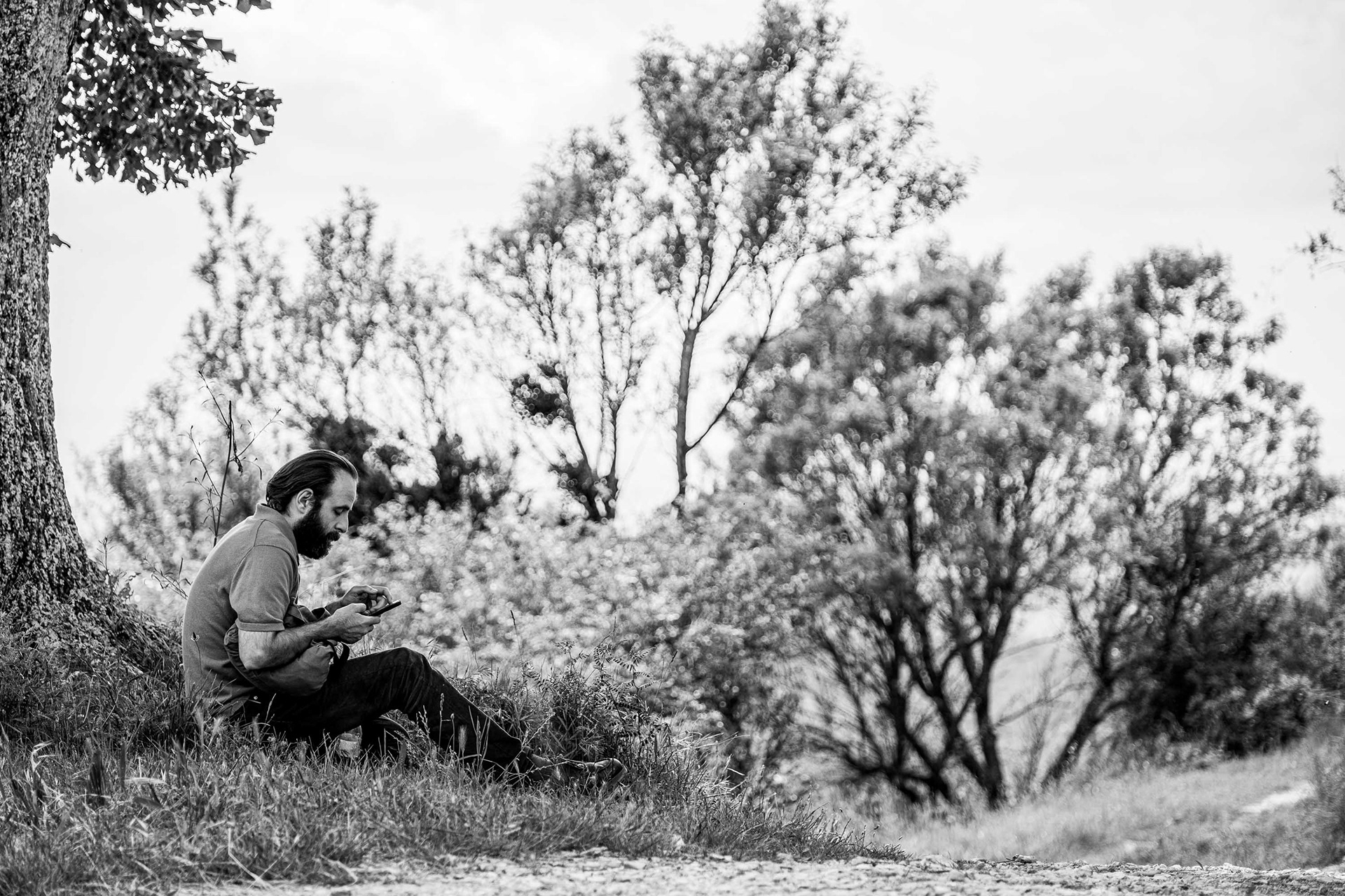 Chronique d'une liaison passagère