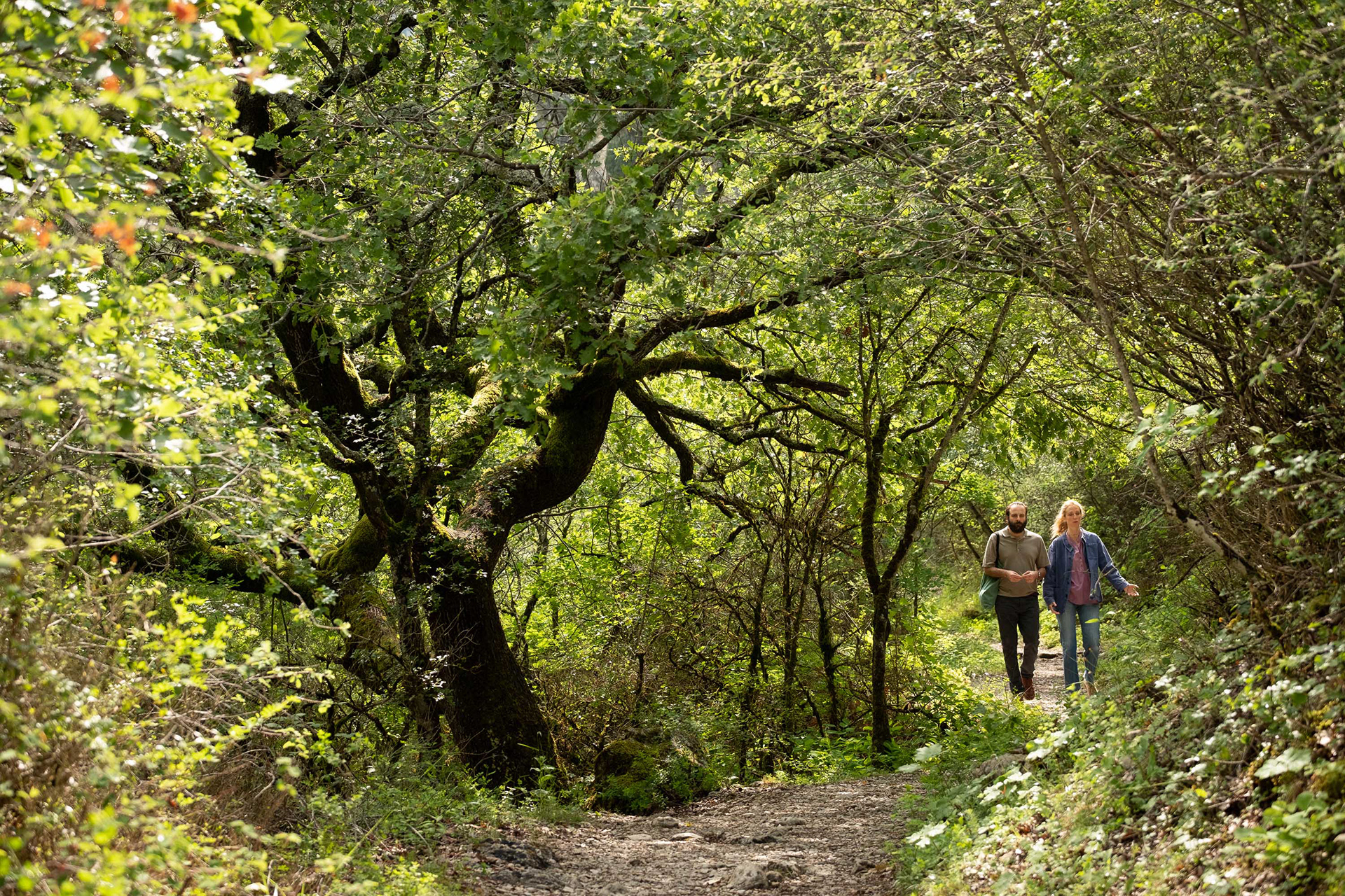 Chronique d'une liaison passagère