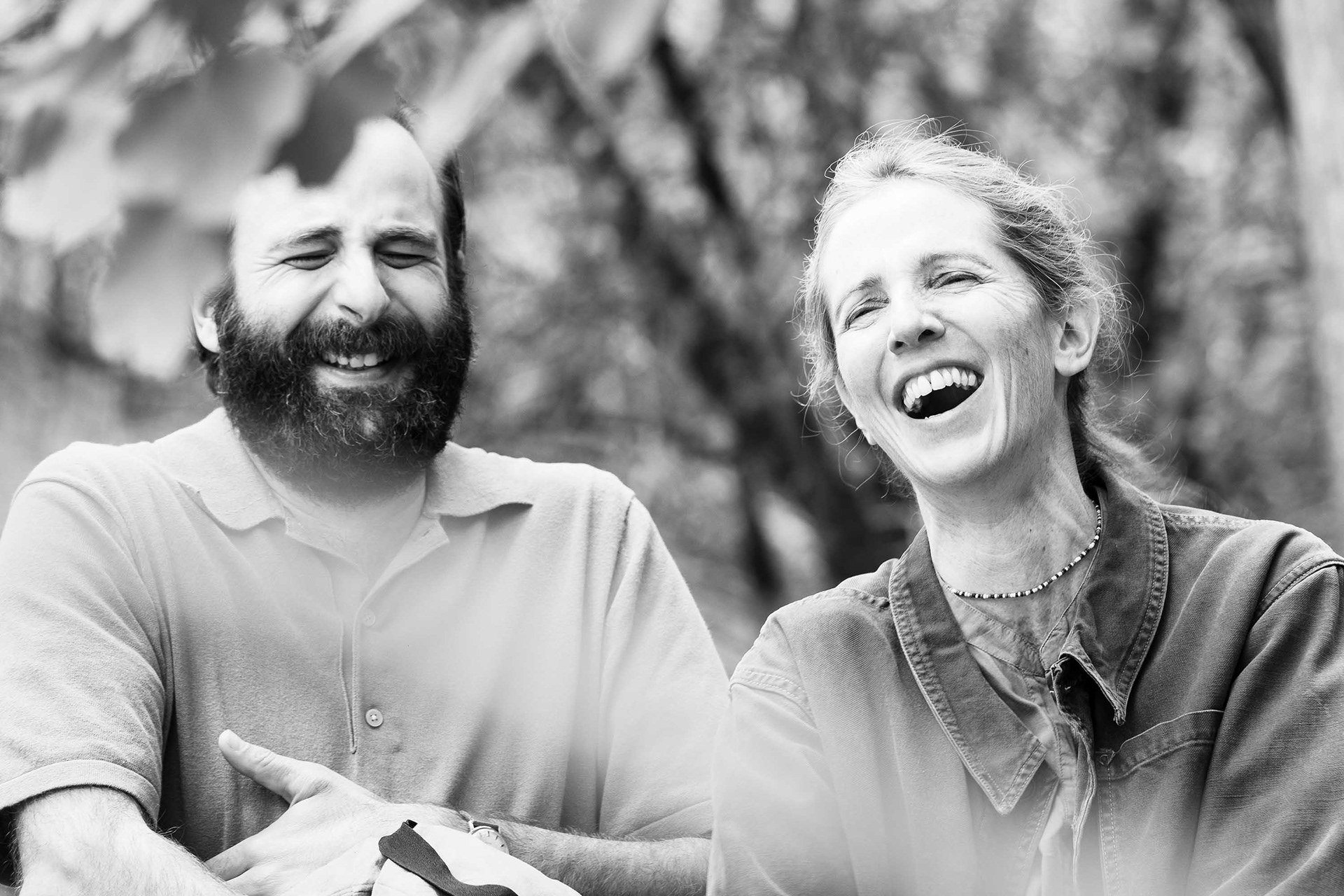 Chronique d'une liaison passagère