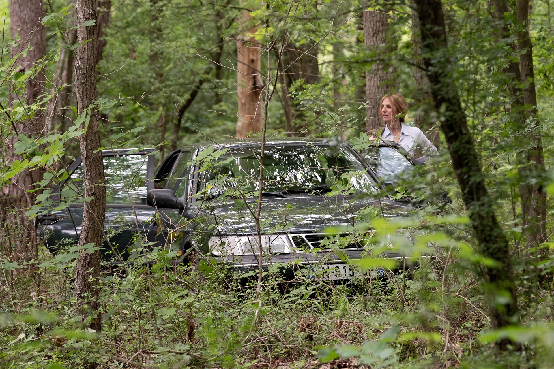 Chronique d'une liaison passagère