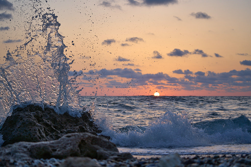 la scena