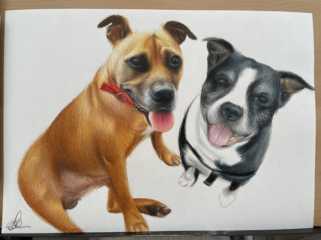 Pets drawn together