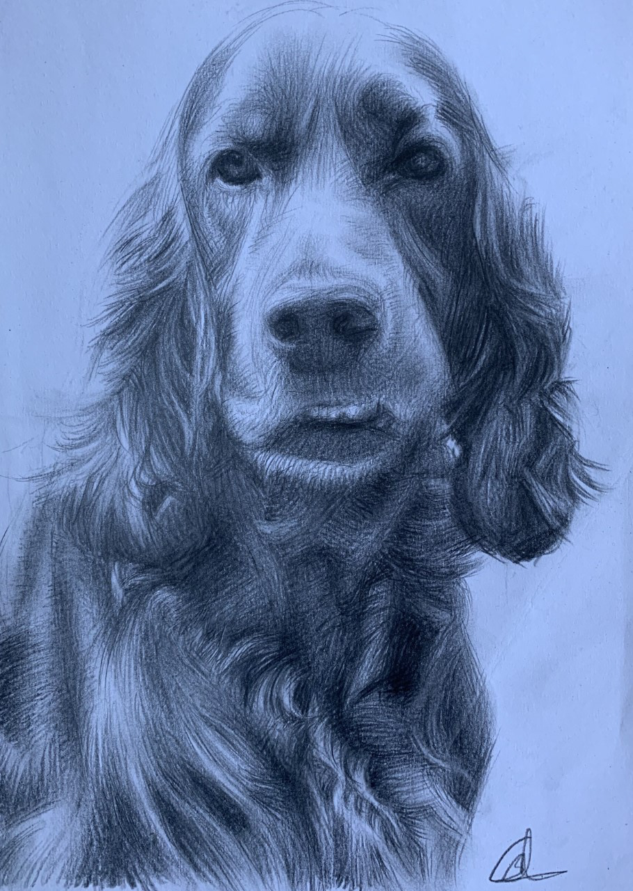 Grace, A4, Pencil, Paper